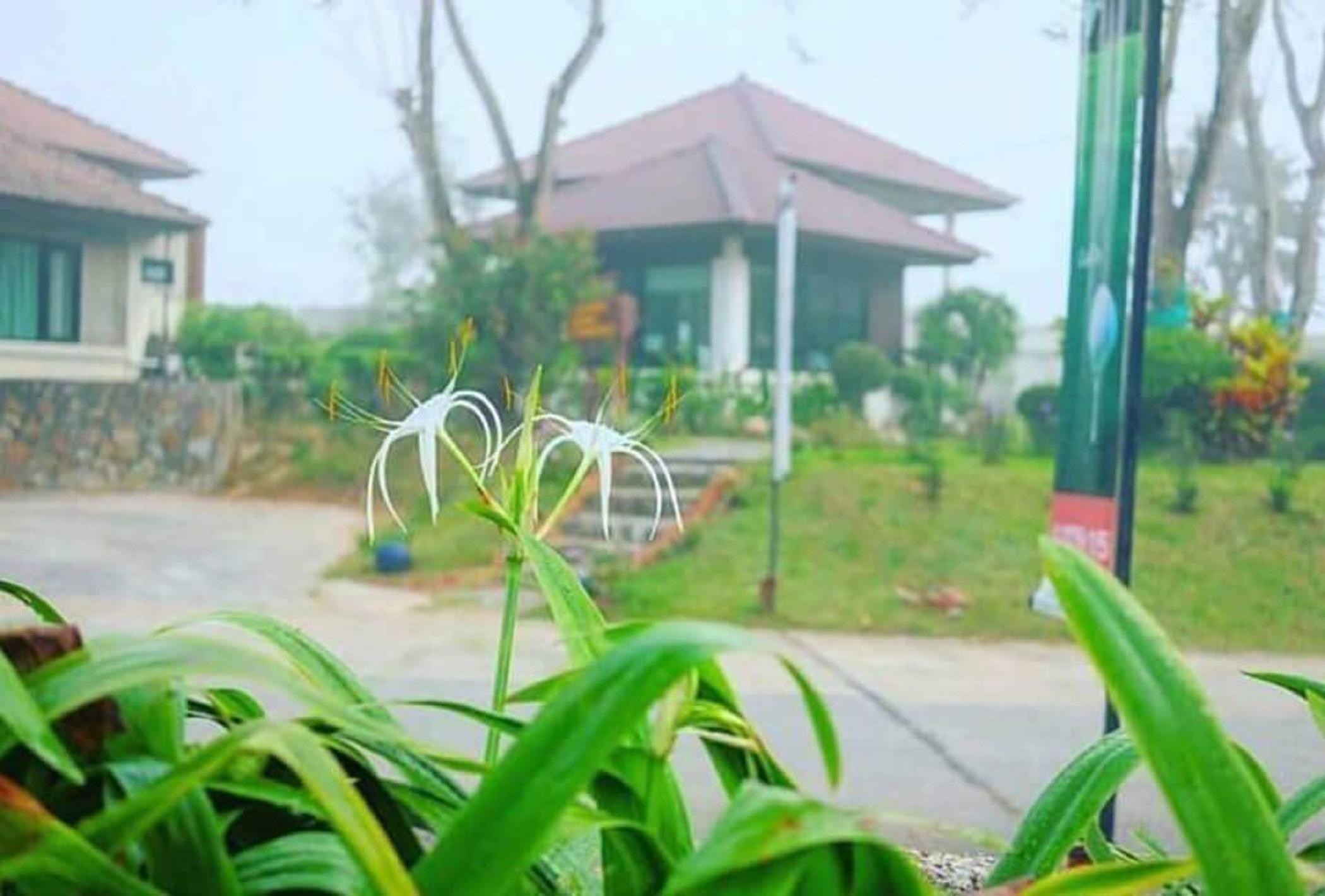 Pattaya Country Club & Resort Ban Pong  Luaran gambar